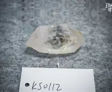 9you娱乐-赫拉尔基正通过赫拉尔基,重上升级榜首